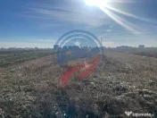 Teren zona Centura de Nord, suprafata 5000mp 