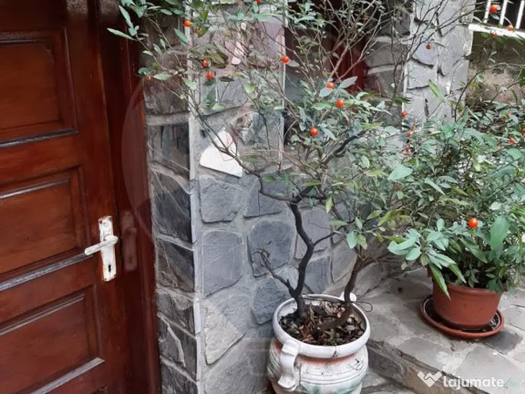 Vanzare casa Provita de Jos Prahova