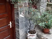 Vanzare casa Provita de Jos Prahova 