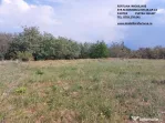 Teren intravilan Piatra Neamt