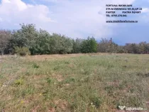 Teren intravilan Piatra Neamt