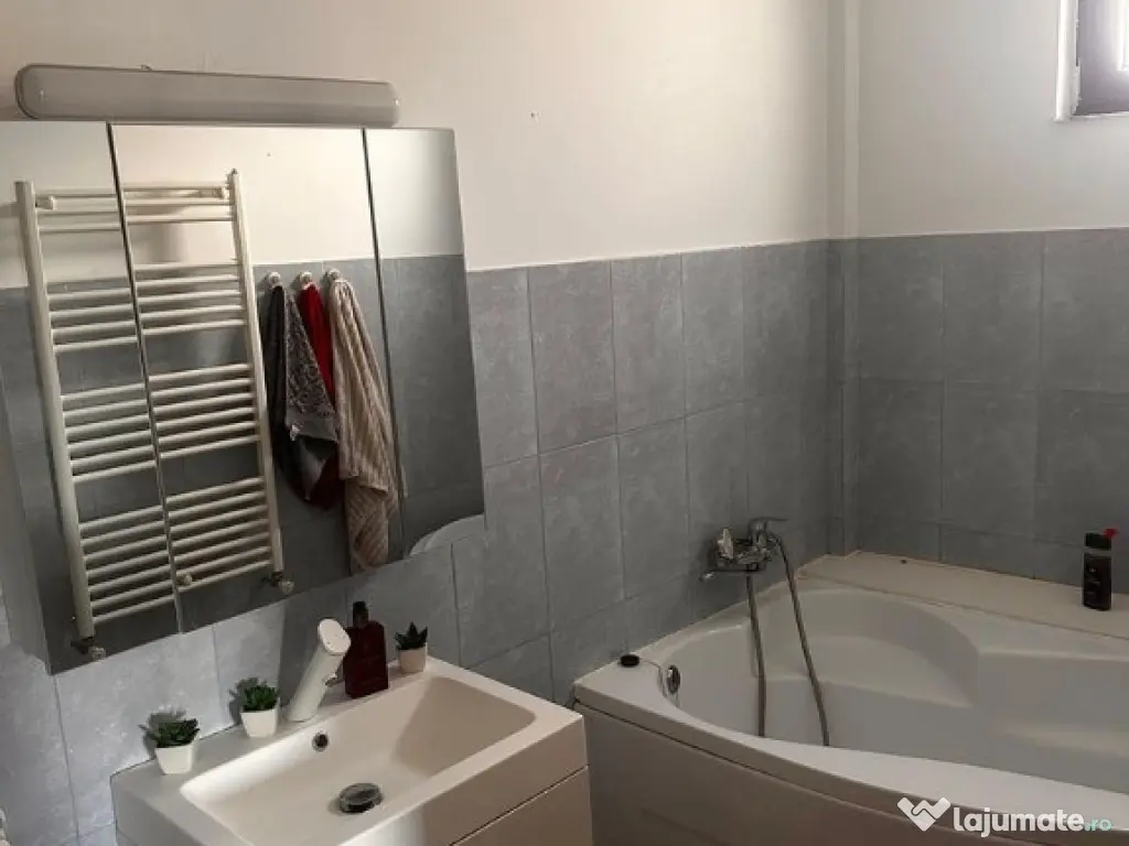 Apartament o camera 25 mp Buna Ziua