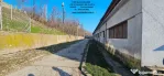 Hala si teren Piatra Neamt