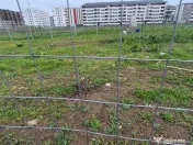 Militari - Ilie Petre - Profi, vanzare lot teren intravilan 