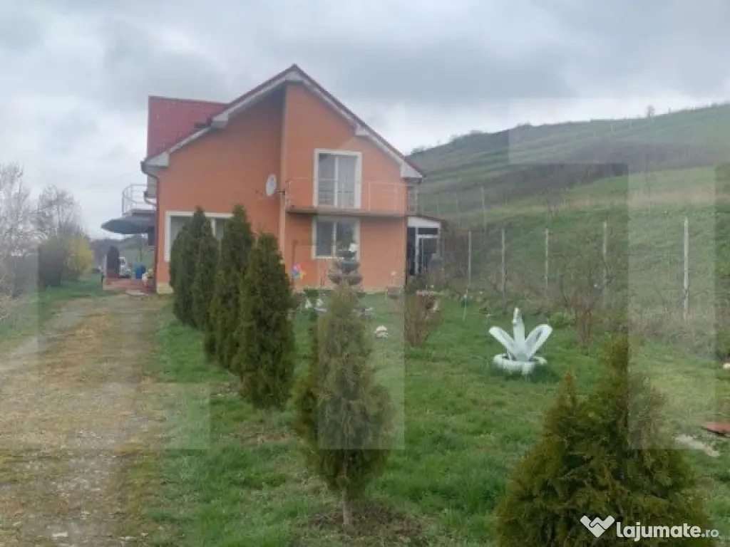 Casa la cheie, teren 2800 mp, Jucu de Sus