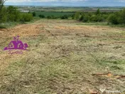 Teren extravilan zona Episcopia 