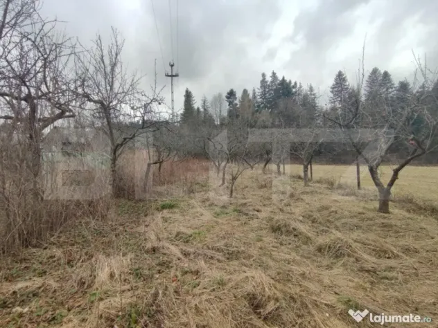 Casă individuala ,2500 mp teren, în Putna