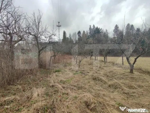 Casă individuala ,2500 mp teren, în Putna - Putna (Suceava)