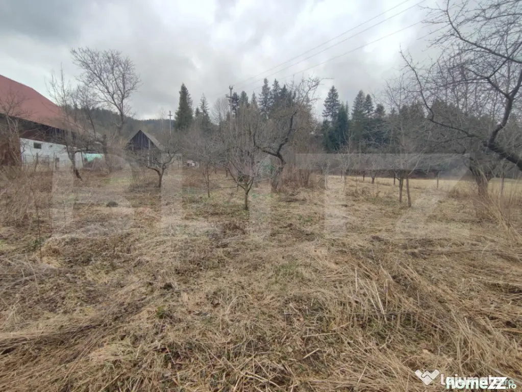 Casă individuala ,2500 mp teren, în Putna - Putna (Suceava)