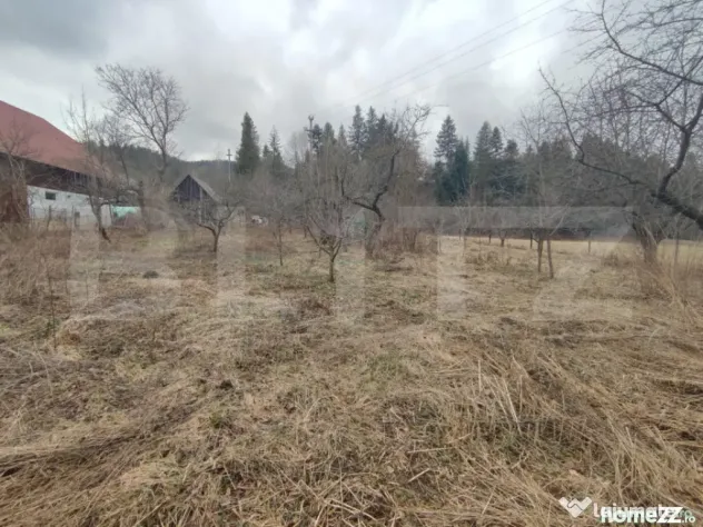 Casă individuala ,2500 mp teren, în Putna - Putna (Suceava)