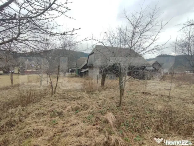 Casă individuala ,2500 mp teren, în Putna - Putna (Suceava)