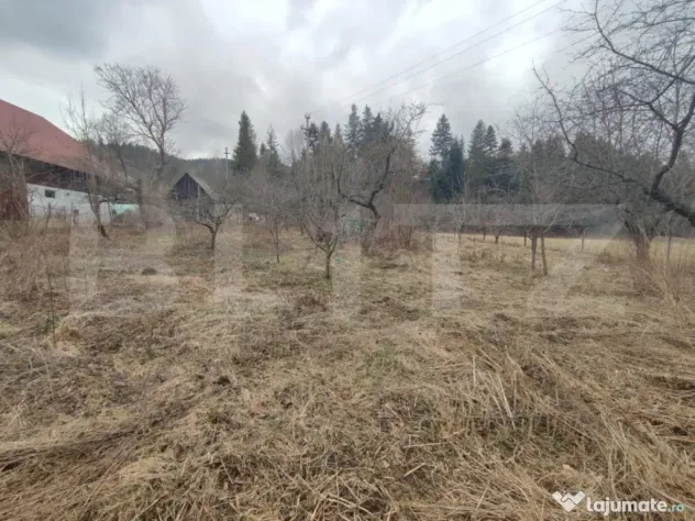 Casă individuala ,2500 mp teren, în Putna