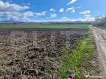 Teren Extravilan 15000 mp- parcelat in 3 loturi Bod- 5000 mp