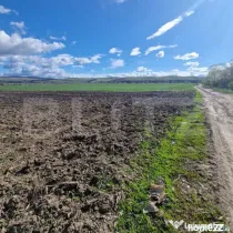 Teren Extravilan 15000 mp- parcelat in 3 loturi Bod- 5000 mp