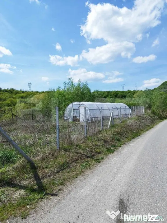 Teren 31 ari, zona linistita - Dej (Cluj)