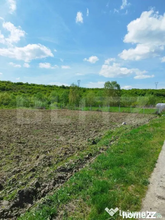 Teren 31 ari, zona linistita - Dej (Cluj)