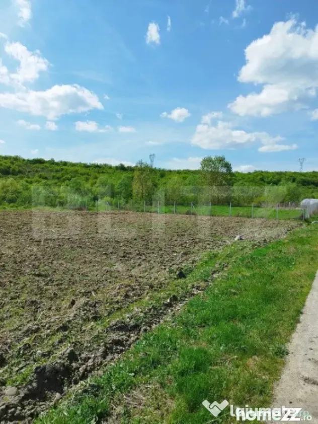 Teren 31 ari, zona linistita - Dej (Cluj)