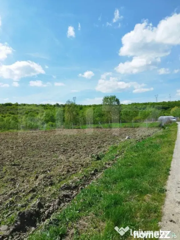 Teren 31 ari, zona linistita - Dej (Cluj)