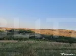 Teren, 11.600 mp, Campenesti