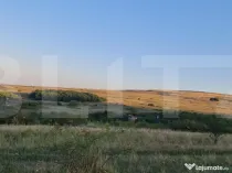 Teren, 11.600 mp, Campenesti