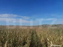 Teren 3000 mp, extravilan, Miroslava