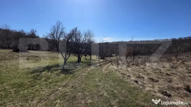 Teren de vanzare de 8,567MP in zona: Leoni
