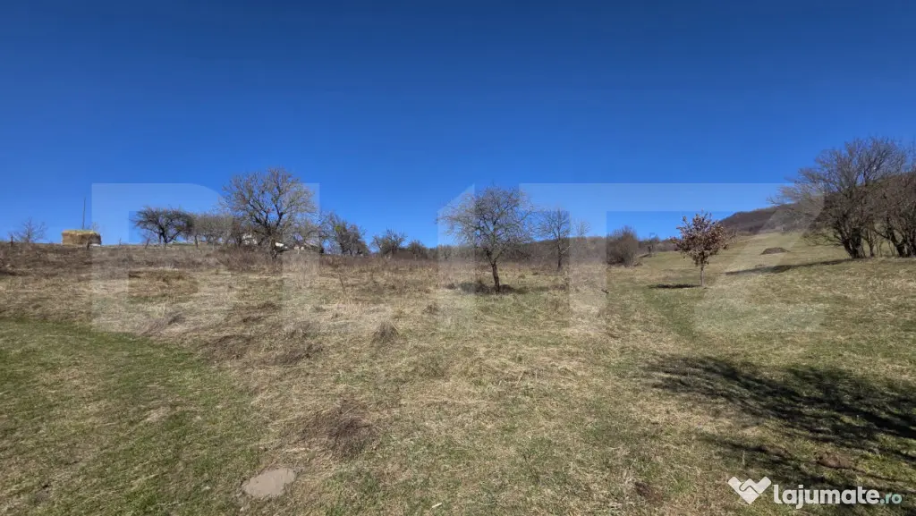 Teren de vanzare de 8,567MP in zona: Leoni