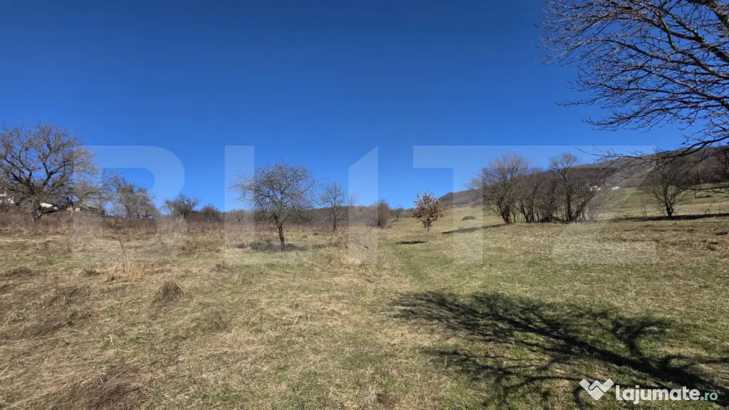 Teren de vanzare de 8,567MP in zona: Leoni