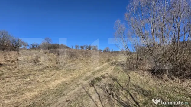 Teren de vanzare de 8,567MP in zona: Leoni