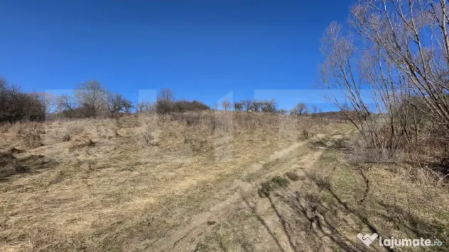 Teren de vanzare de 8,567MP in zona: Leoni