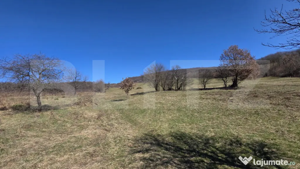Teren de vanzare de 8,567MP in zona: Leoni