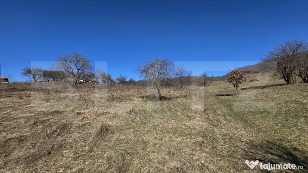 Teren de vanzare de 8,567MP in zona: Leoni
