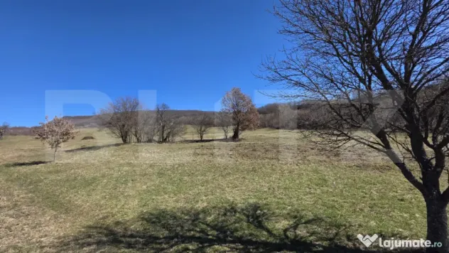 Teren de vanzare de 8,567MP in zona: Leoni