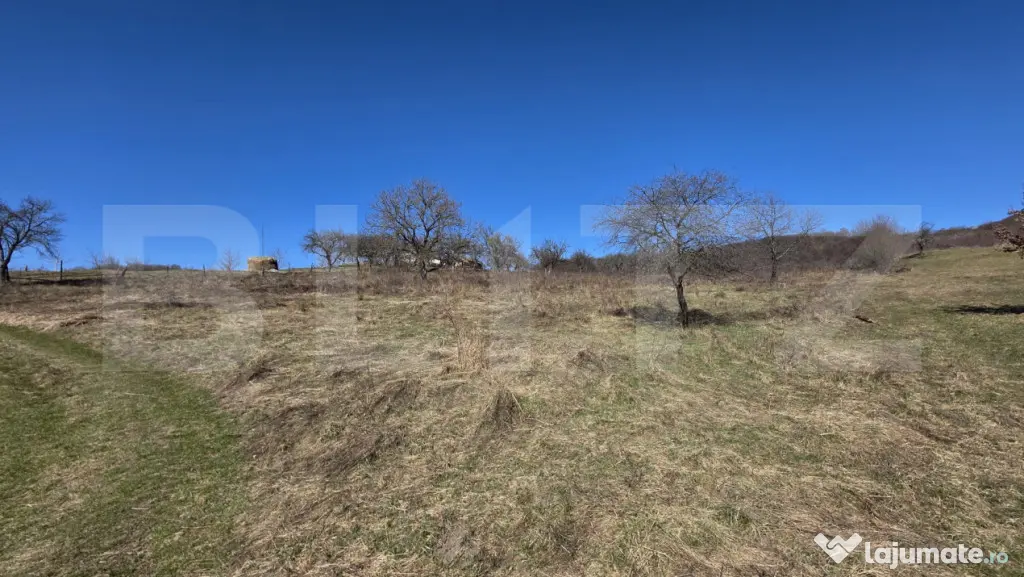 Teren de vanzare de 8,567MP in zona: Leoni