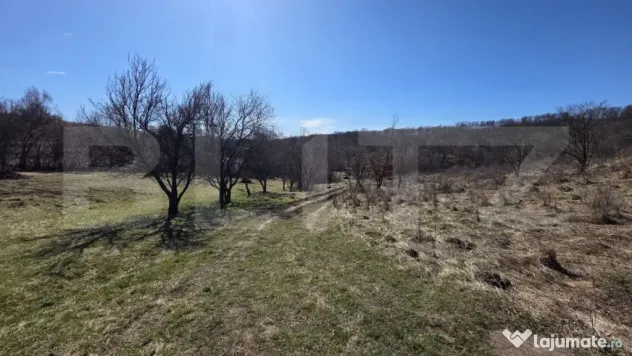 Teren de vanzare de 8,567MP in zona: Leoni
