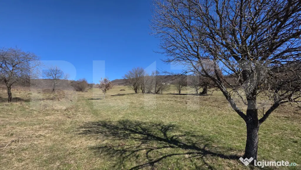 Teren de vanzare de 8,567MP in zona: Leoni