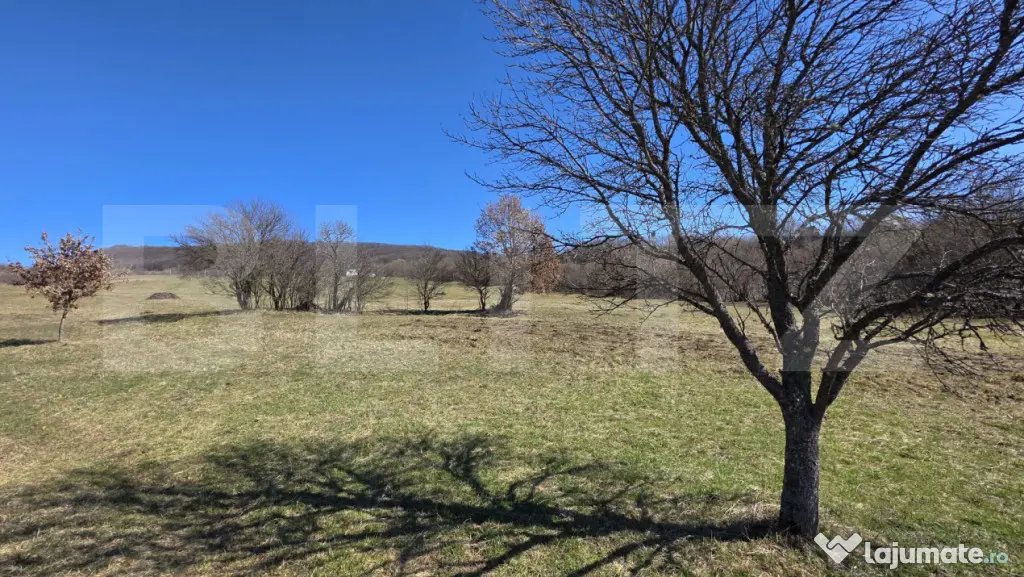 Teren de vanzare de 8,567MP in zona: Leoni