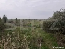 Teren de 39600 mp, PUZ, lângă Staţia de Epurare