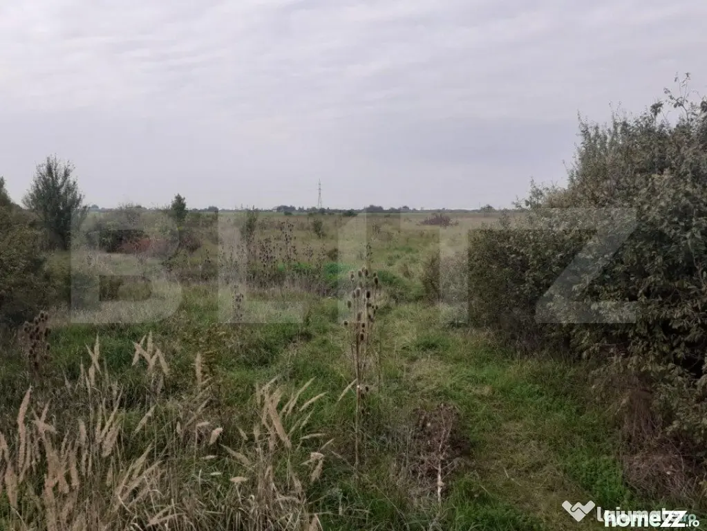 Teren de 39600 mp, PUZ, lângă Staţia de Epurare - Timisoara (Timis)