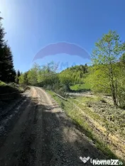 Teren 12,127mp Frasin / Drumul Forestier Valea Seacă 