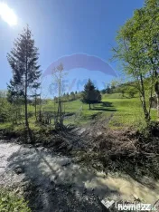 Teren 12,127mp Frasin / Drumul Forestier Valea Seacă 