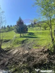 Teren 12,127mp Frasin / Drumul Forestier Valea Seacă 