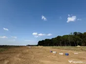 Vand lot teren la padurea Snagov 