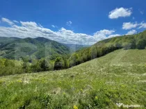Intravilan de vânzare în Satul Plopi, se poate parcela Com