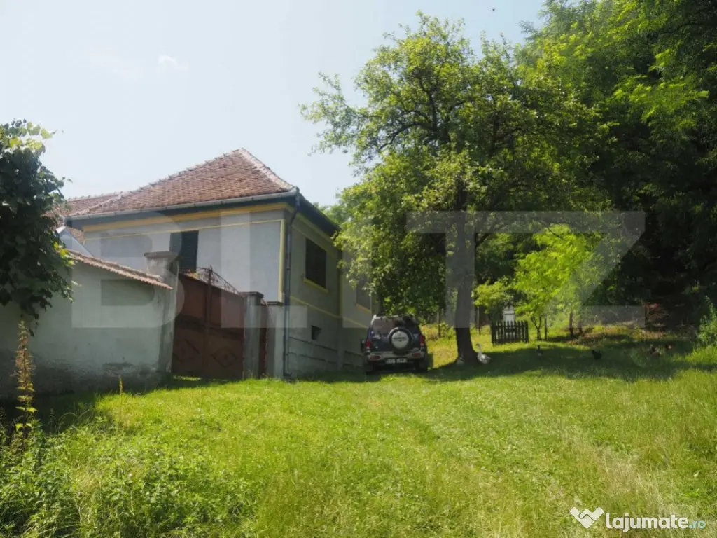 Casa off-grid 5 camere Sangatin judetul Sibiu - Sangatin (Sibiu)