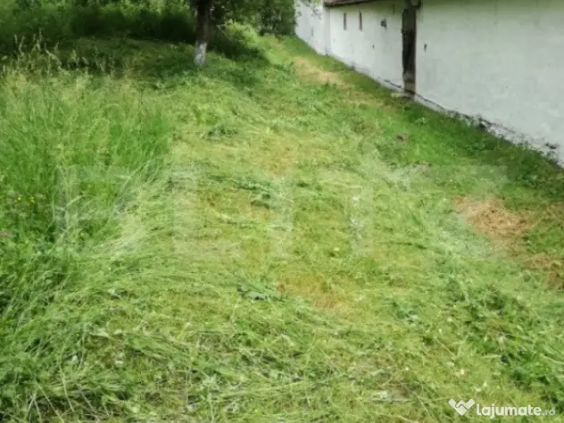 Casa off-grid 5 camere Sangatin judetul Sibiu - Sangatin (Sibiu)