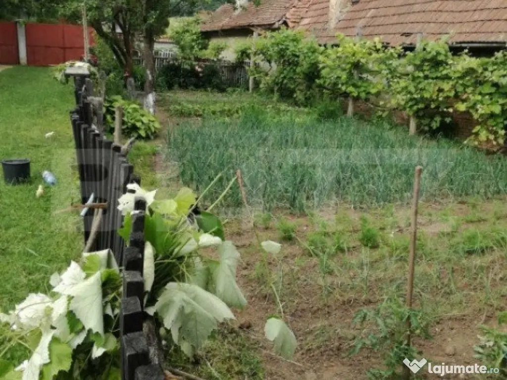 Casa off-grid 5 camere Sangatin judetul Sibiu - Sangatin (Sibiu)