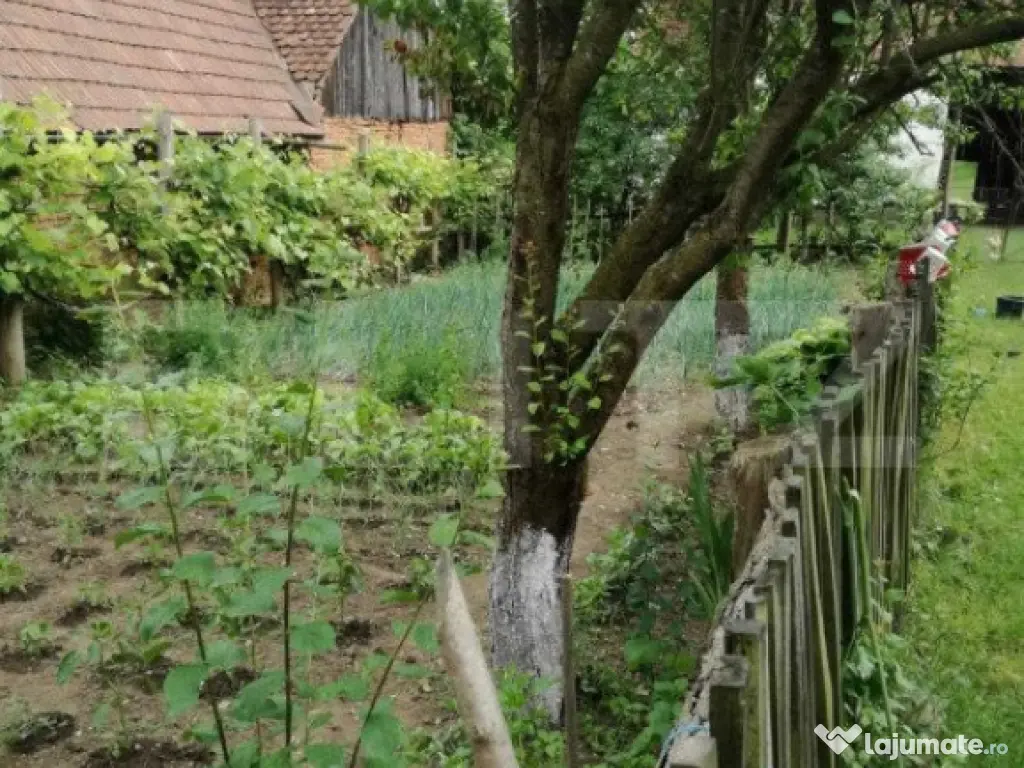Casa off-grid 5 camere Sangatin judetul Sibiu - Sangatin (Sibiu)