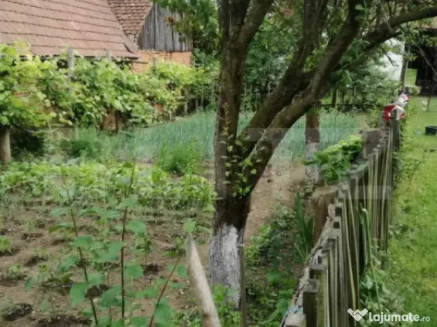 Casa off-grid 5 camere Sangatin judetul Sibiu - Sangatin (Sibiu)
