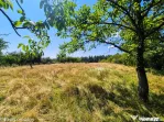 Teren intravilan Cotmeana Arges